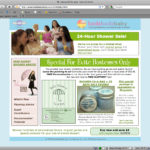 Baby Shower Store Landing Page